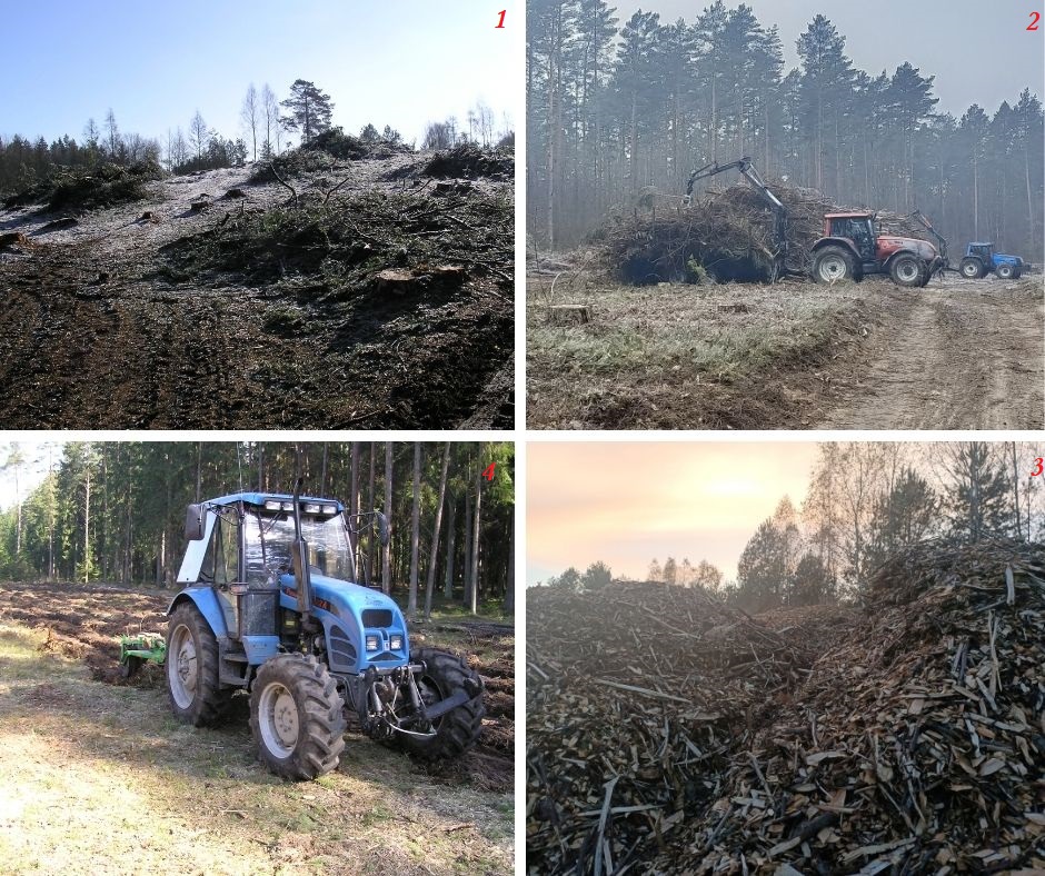 Kolaż zdjęć: 1 przedstawia pozostawione na powierzchni gałęzie, 2 przedstawia mechaniczne składanie gałęzi w stosy, 3 rozdrobnione gałęzie, 4 przygotowanie gleby pod nowe pokolenie lasu