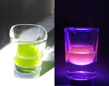 Fascynujący Dzień Roślin - Fluorescencja chlorofilu