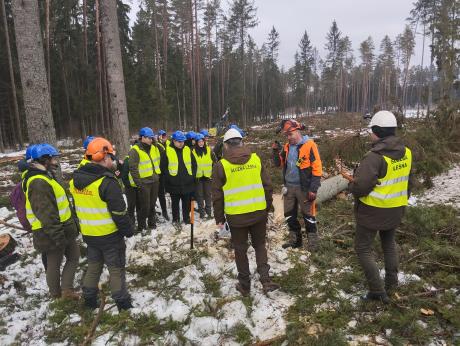 Zajęcia terenowe studentów leśnictwa