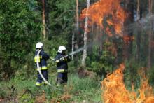 Płoną 2 hektary lasu w okolicy wsi Doktorce na terenie Leśnictwa Suraż